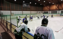 HC Draci Bílina : HC Meteor Třemošná 0:12 (0:6,0:4,0:2)