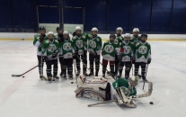 Piráti Chomutov : HC Draci Bílina 4:11