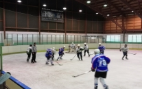 HC Draci Bílina : HC Děčín 6:1 (1:0,2:1,3:0)
