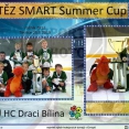 Smart Summer cup 2019