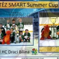 Smart Summer cup 2019