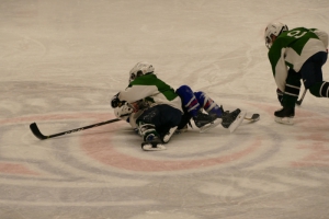 Výsledkový servis 14. - 17.11.2019