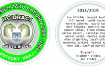 Hlasování sportovec teplicka 2019