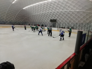 Výsledkový servis 11. - 12.1.2020