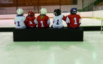 Týden hokeje leden 2020