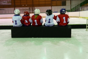 Týden hokeje leden 2020