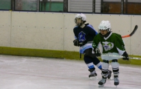 Výsledkový servis 28.1. - 2.2.2020