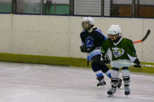 Výsledkový servis 28.1. - 2.2.2020