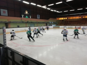 Výsledkový servis 21. - 23.2.2020