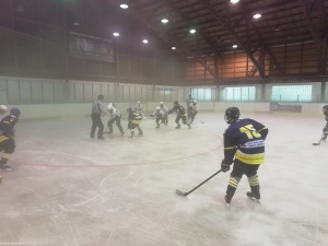 HC Draci Bílina : Slovan Ústí nad Labem 5:4 (1:2,3:1,1:1)