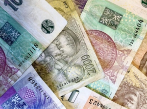 Zbytek roku 2021 bez členských příspěvků