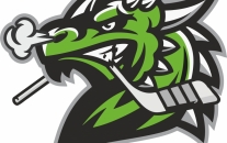 Mladí draci mají nové logo!