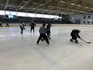 HC Slovan Louny : HC Draci Bílina 6:3 (2:2,1:1,3:0)