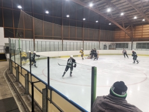 HC Draci Bílina : HC Roudnice nad Labem 4:3 (1:2,2:0,1:1)