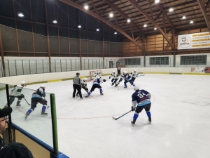 HC Draci Bílina : MOSTEČTÍ LVI 2:5 (0:2,1:2,1:1)