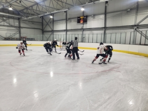 HC Čerti Ostrov : HC Draci Bílina 0:9 (0:2,0:5,0:2)