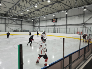 HC Čerti Ostrov : HC Draci Bílina 10:5 (2:1,7:1,1:3)