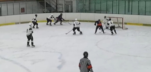 HC Draci Bílina : Stadion Litoměřice 1:8 (0:3,1:0,0:5)