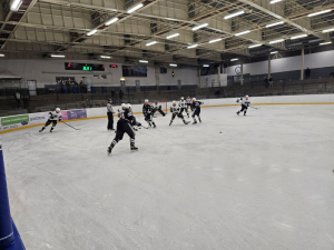 HC Slovan Louny : HC Draci Bílina 11:6 (3:1,7:1,1:4)