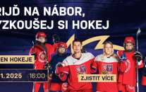 Pojď hrát hokej !
