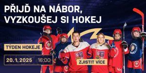 Pojď hrát hokej !