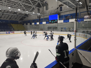 MOSTEČTÍ LVI : HC Draci Bílina 7:2 (2:1,2:1,3:0)