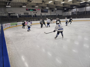 HC Slovan Louny : HC Draci Bílina 6:0 (2:0,4:0,0:0)