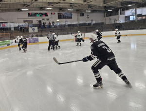 HC Slovan Louny : HC Draci Bílina 1:4 (1:2,0:1,0:1)