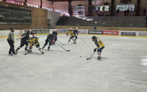 HC Mariánské Lázně : HC Draci Bílina 5:10 (2:4,1:3,2:3)