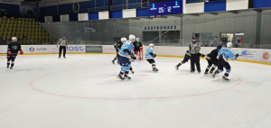 MOSTEČTÍ LVI : HC Draci Bílina 6:2 (2:1,3:1,1:0)