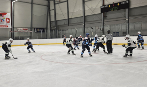 HC Lovosice : HC Draci Bílina 6:8 (2:3,2:1,2:4)