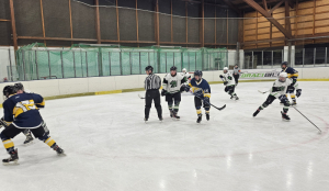 HC Draci Bílina : HC Roudnice nad Labem 5:7 (3:2,1:4,1:1)