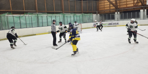 HC Draci Bílina : Slovan Ústí nad Labem 2:13 (1:7,1:2,0:4)