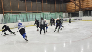 HC Draci Bílina : HC Slovan Louny 8:2 (1:1,4:0,3:1)