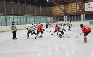 HC Draci Bílina : HC Čerti Ostrov 6:5 (2:2,3:2,1:1)