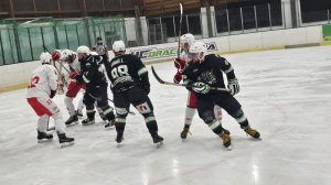 HC Draci Bílina : Slovan Ústí nad Labem 10:5 (1:2,4:0,5:3)